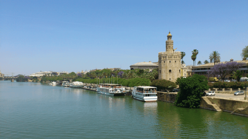 from-costa-del-sol-malaga-seville-day-trip
