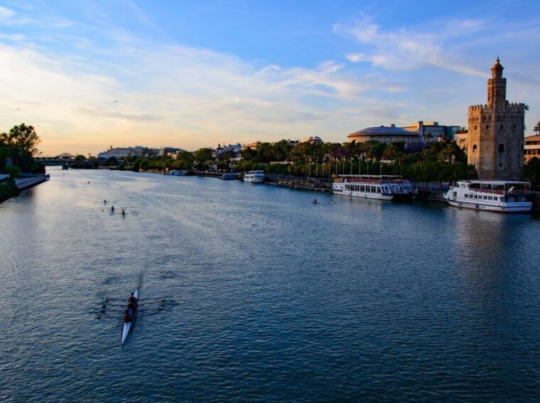 from-costa-del-sol-seville-day-trip