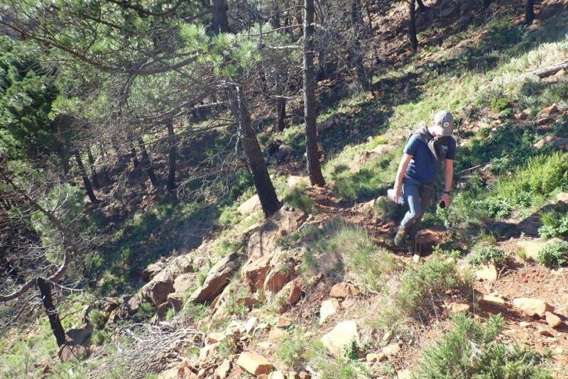 from-costa-del-sol-sierra-bermeja-private-hiking-tour