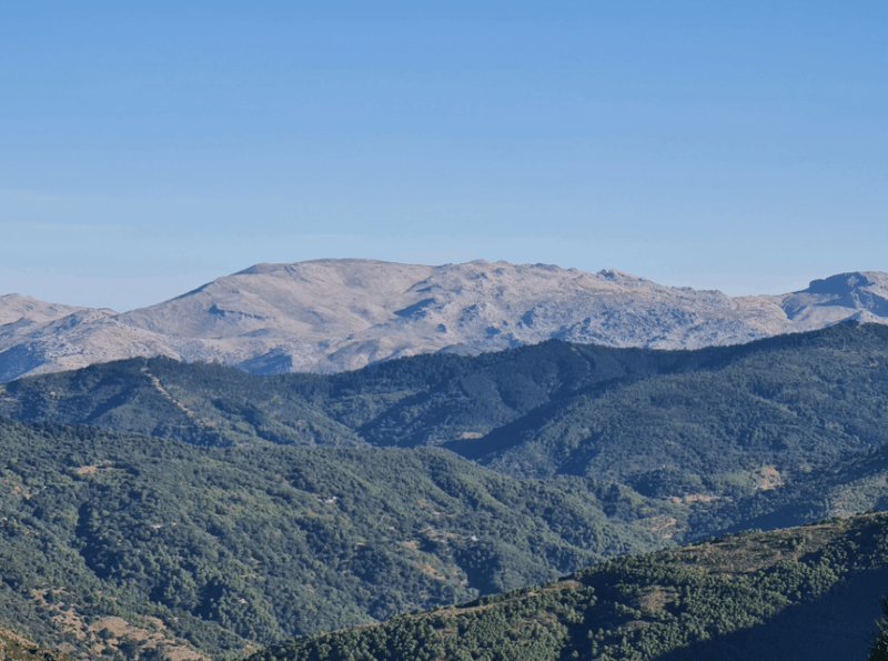 from-costa-del-sol-sierra-bermeja-private-hiking-tour