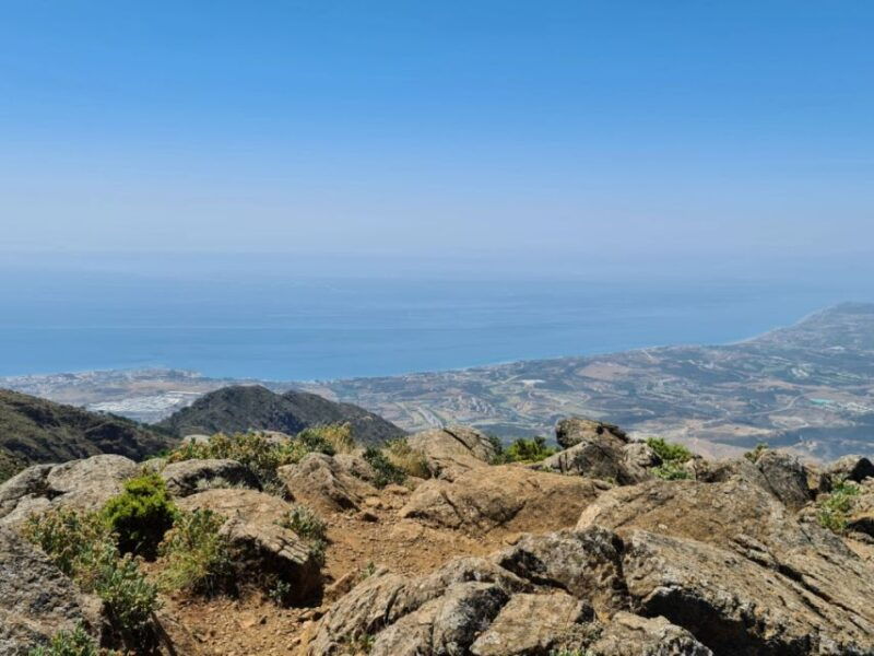 from-costa-del-sol-sierra-bermeja-private-hiking-tour