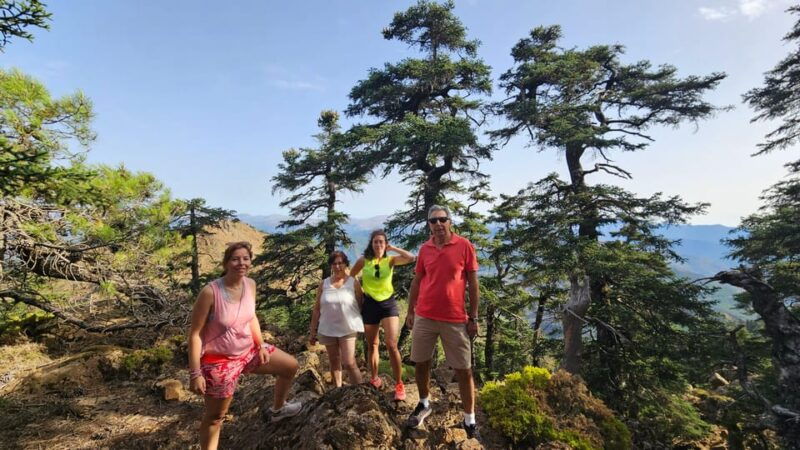 from-costa-del-sol-sierra-bermeja-private-hiking-tour