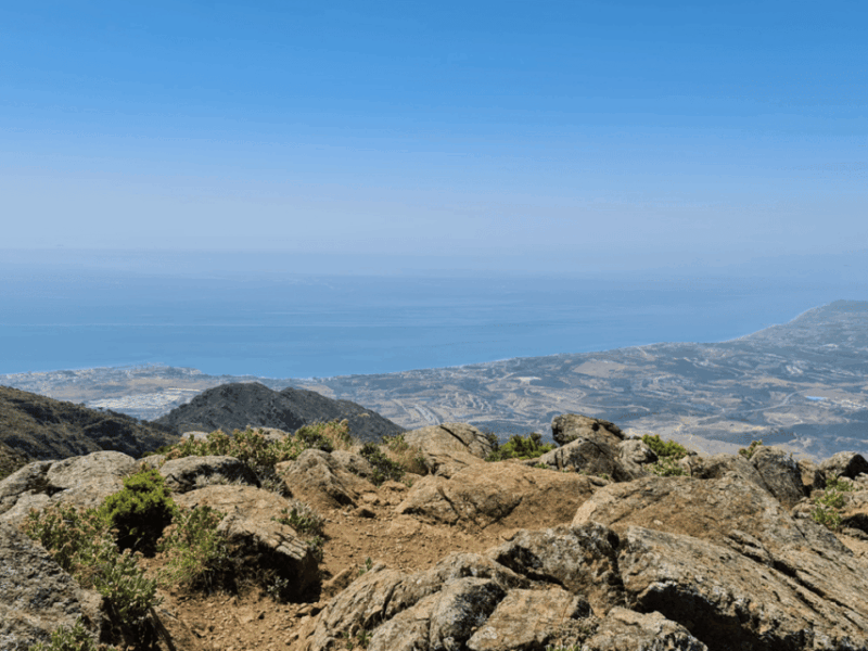 from-costa-del-sol-sierra-bermeja-private-hiking-tour