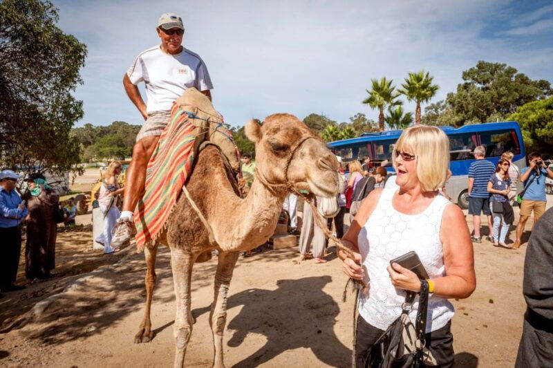 from-costa-del-sol-tangier-full-day-tour-by-ferry