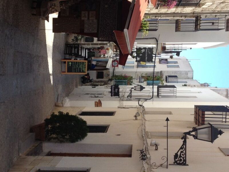 from-costa-dorada-peniscola-and-ebro-delta-sightseeing-tour