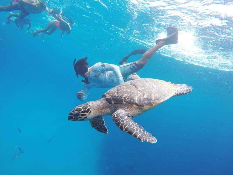 from-cozumel-3-reefs-boat-tour-with-drinks-and-snorkeling