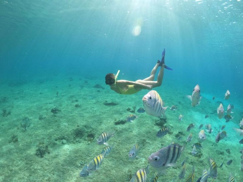 from-cozumel-3-reefs-boat-tour-with-drinks-and-snorkeling