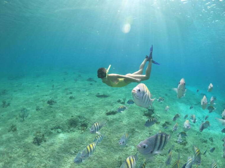 from-cozumel-3-reefs-boat-tour-with-drinks-and-snorkeling