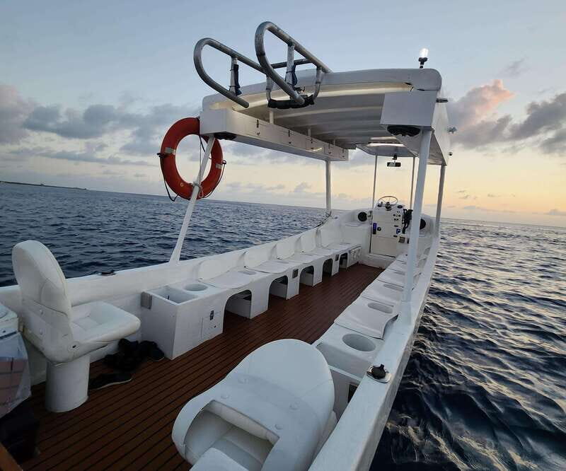 From Cozumel: Snorkel Private Charter to el Cielo & Cielito - Analyzing the Experience: What to Expect and Why It Matters