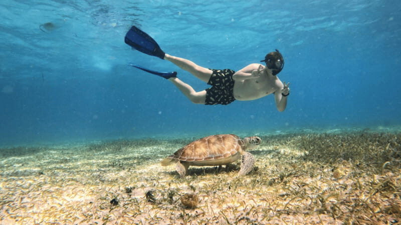 From Cozumel: Snorkel Private Charter to el Cielo & Cielito - Authentic Reviews and Feedback