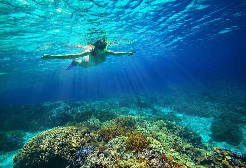From Cozumel: Snorkel Private Charter to el Cielo & Cielito - Is This Tour Right for You?