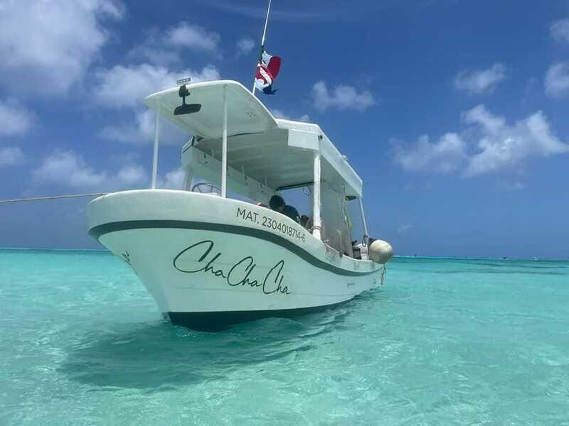 From Cozumel: Snorkel Private Charter to el Cielo & Cielito - The Sum Up