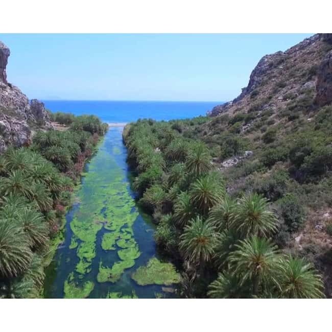 From Crete: Kourtaliotiko Gorge & Preveli Tour - A Complete Breakdown of the Tour Experience