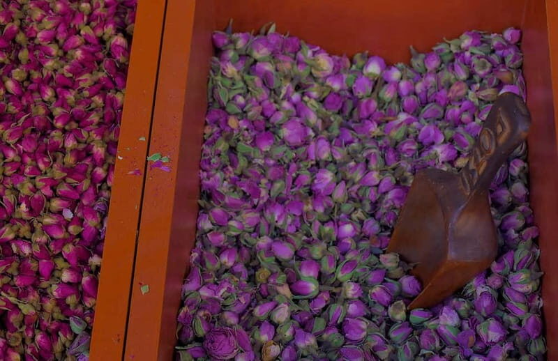 From Cruise Ship Port: Greek Food Tour + Free Time in Athens - Key Points: