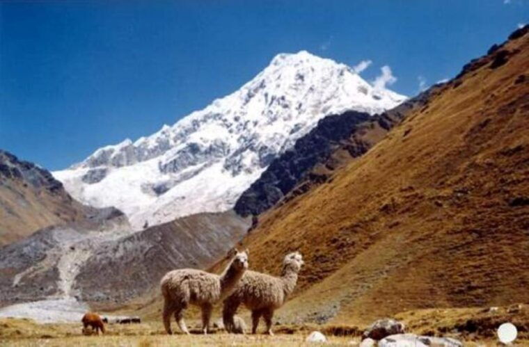 from-cusco-3-day-tour-to-puerto-maldonado-tambopata