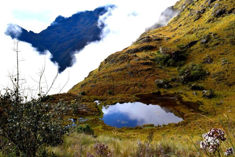 from-cusco-7-day-trek-to-machu-picchu-through-inca-trail
