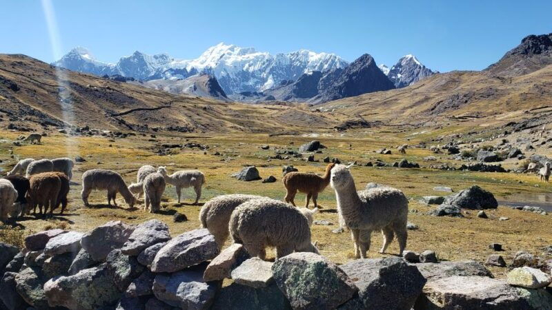 from-cusco-7-lakes-of-ausangate-full-day-tour