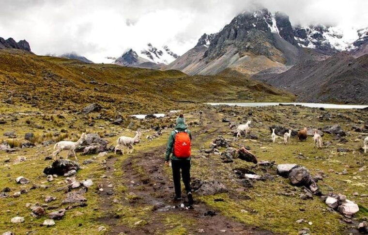 from-cusco-ausangate-7-lagoons-full-day-excursion