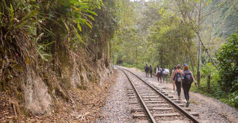 from-cusco-budget-inca-jungle-trek-with-return-by-car
