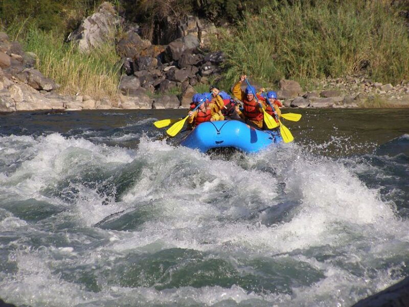 from-cusco-budget-inca-jungle-trek-with-return-by-car