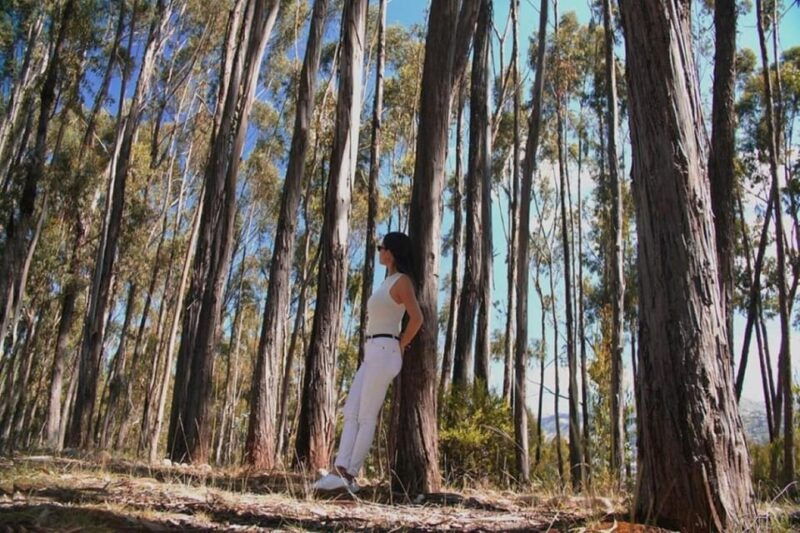 from-cusco-city-tour-sacsayhuaman-tour-and-cusco-city-tour