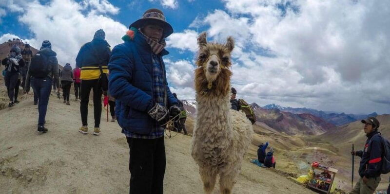 from-cusco-colored-mountain-and-red-valley-day-trip-meals