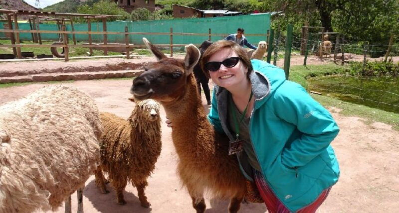 from-cusco-cusco-machu-picchu-luxury-tour
