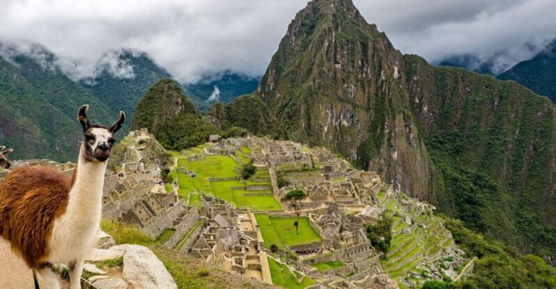 from-cusco-cusco-machu-picchu-luxury-tour
