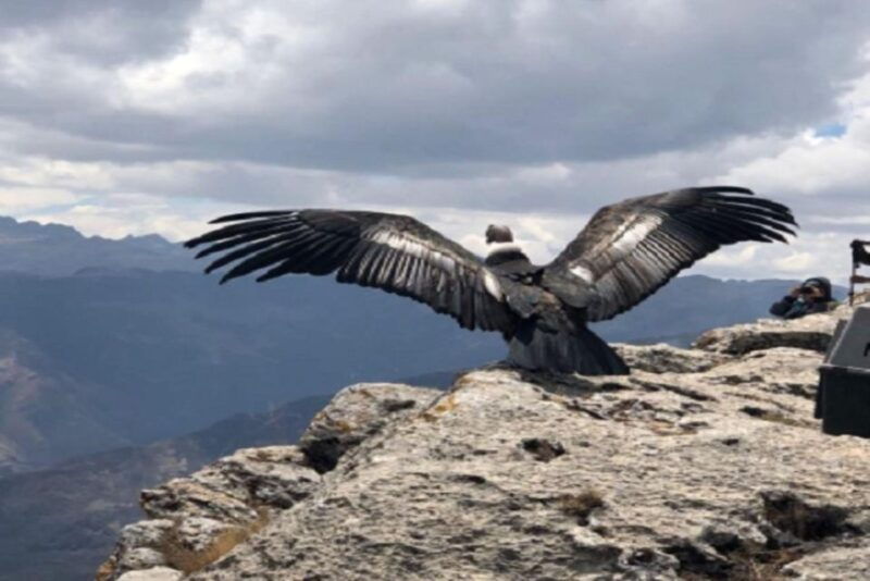 from-cusco-cusco-machu-picchu-luxury-tour