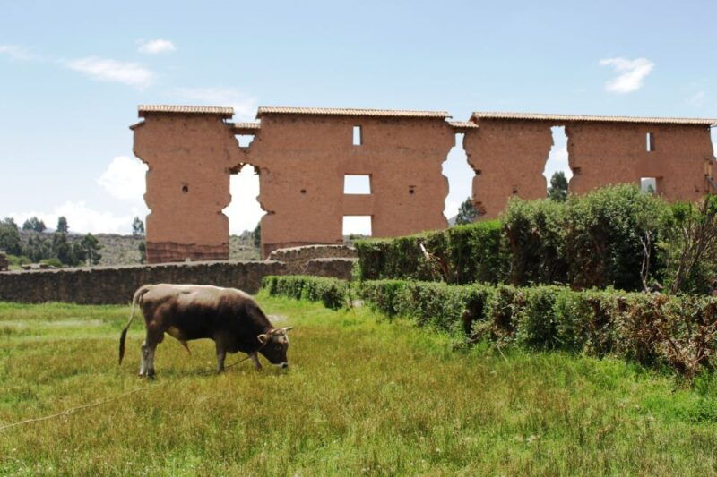 from-cusco-cusco-to-puno-shuttle-guided-tour-w-box-lunch