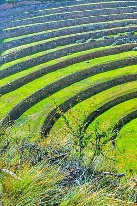 from-cusco-excursion-to-moray-salt-mines-and-chinchero