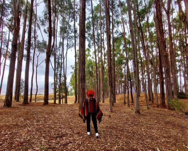 from-cusco-explore-the-inca-city-full-day