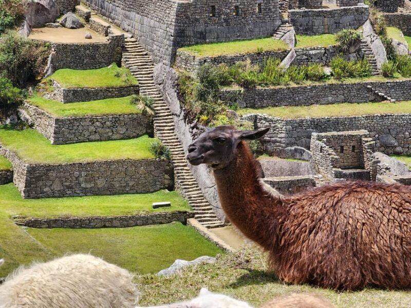 from-cusco-full-day-all-inclusive-tour-machu-picchu