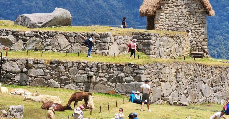 from-cusco-full-day-all-inclusive-tour-machu-picchu
