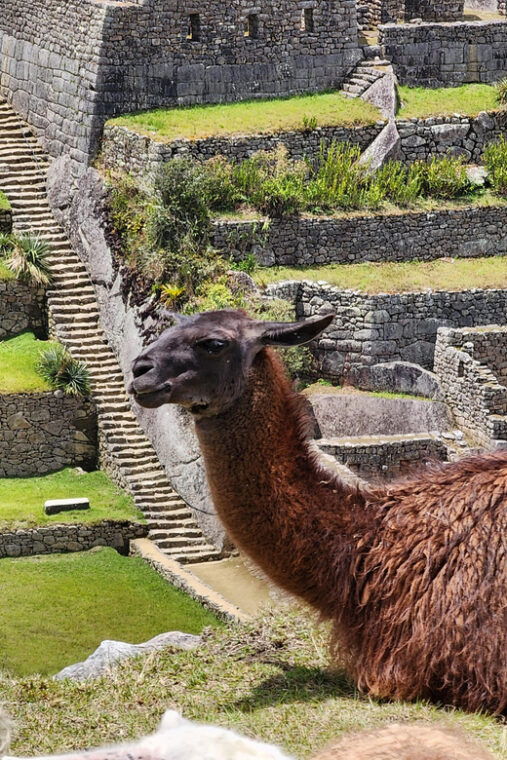 from-cusco-full-day-all-inclusive-tour-machu-picchu