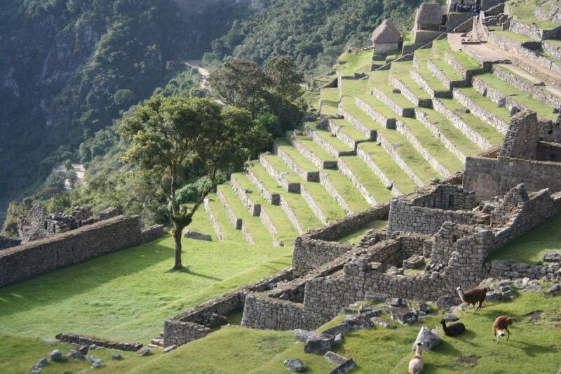 from-cusco-hike-5-days-classic-inca-trail-to-machu-picchu