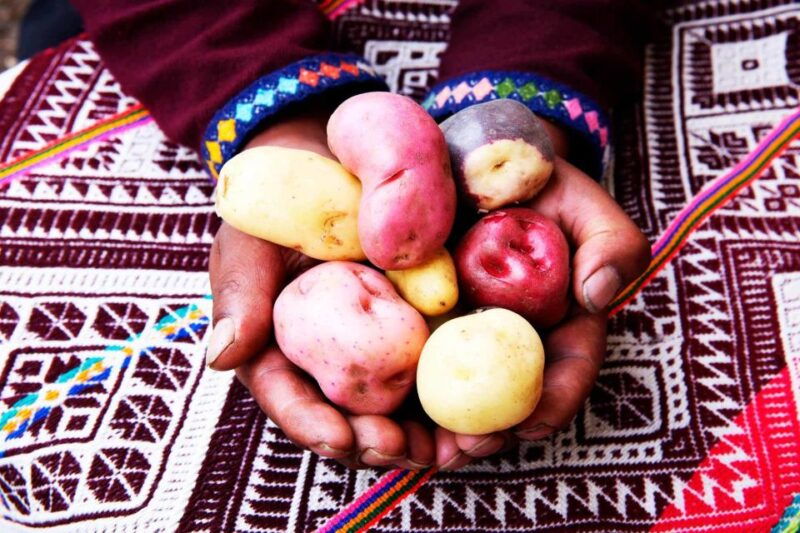 from-cusco-indigenous-potato-farm-cultural-experience