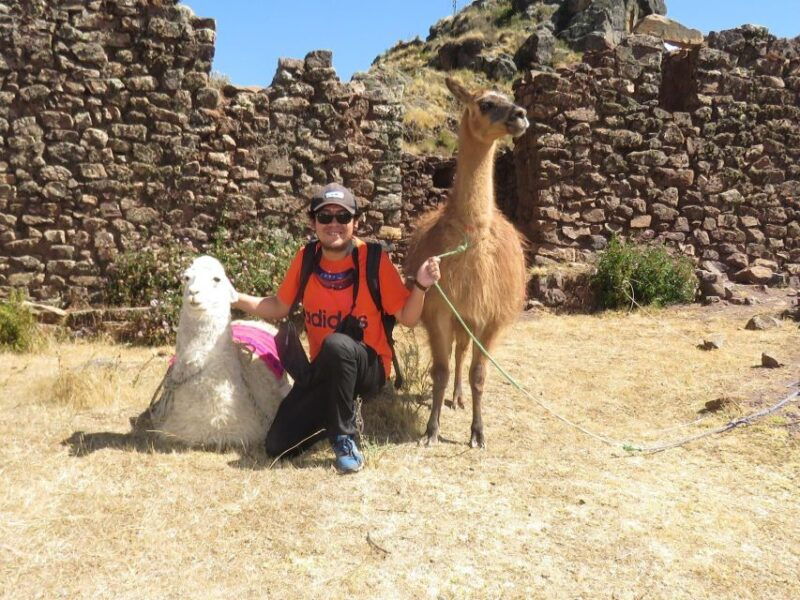 from-cusco-llama-trekking