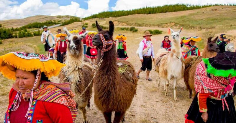 from-cusco-llama-trekking