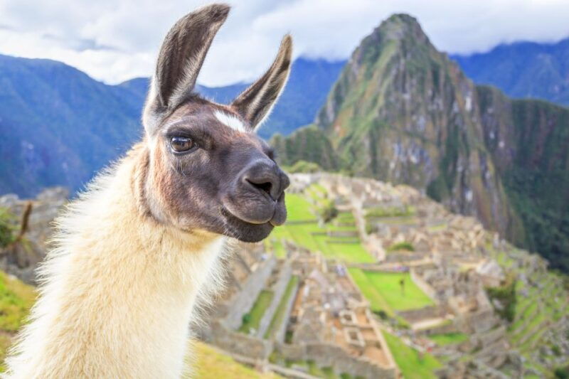 from-cusco-machu-picchu-and-sacred-valley-2-day-tour