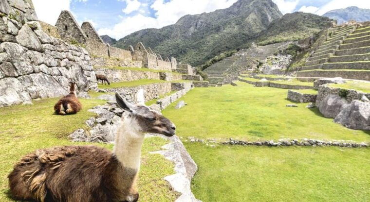 from-cusco-machu-picchu-day-trip