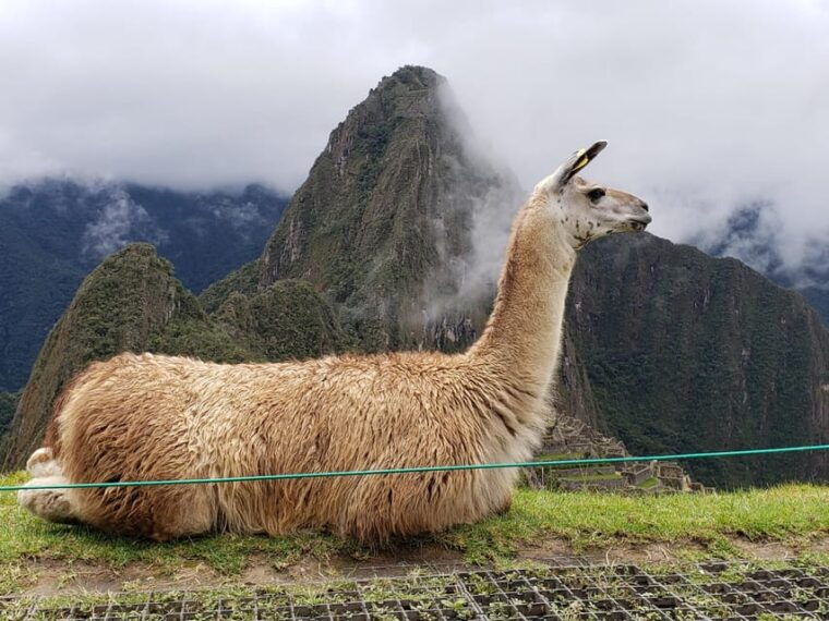 from-cusco-machu-pichu-full-day