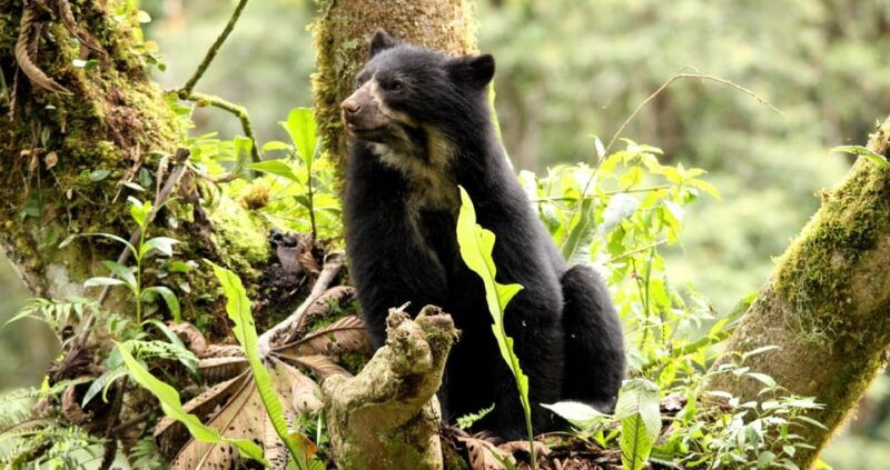 from-cusco-manu-national-park-tour-accommodation-3-days