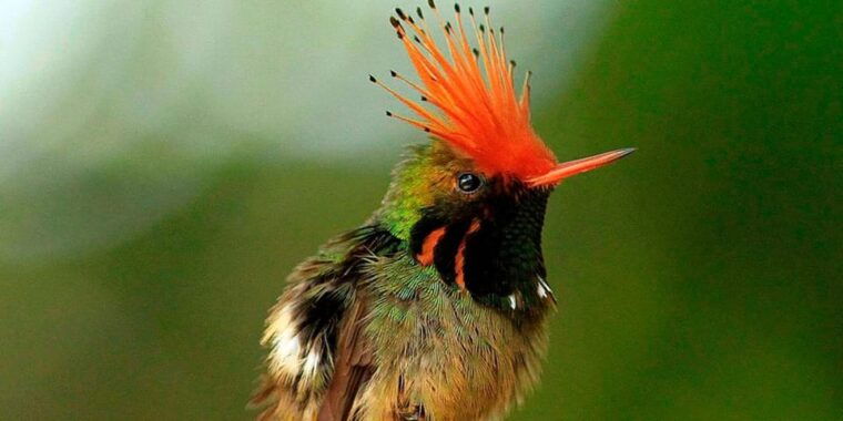 from-cusco-manu-national-park-tour-accommodation-3-days