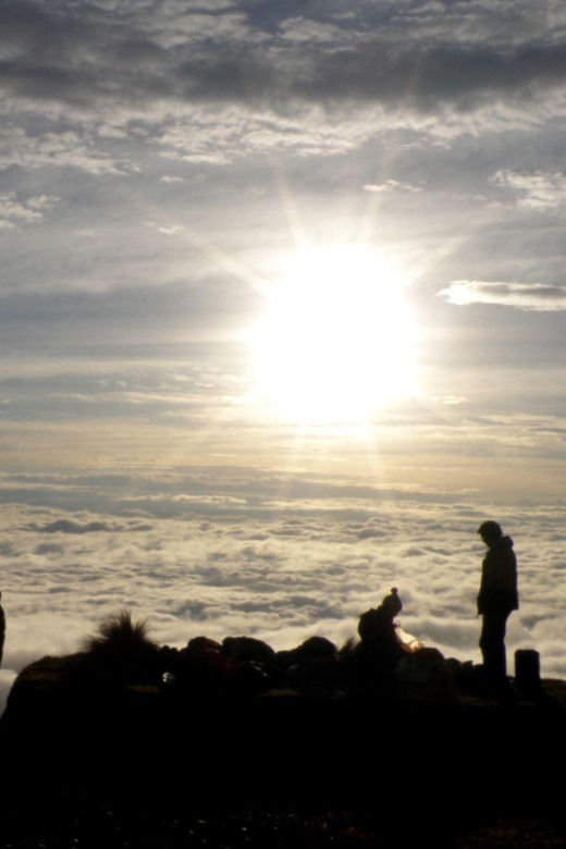 from-cusco-manu-tree-house-4-days-3-nights-2