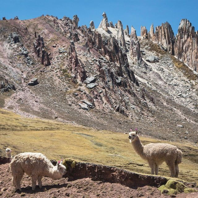 from-cusco-palccoyo-rainbow-mountain-trek-tour