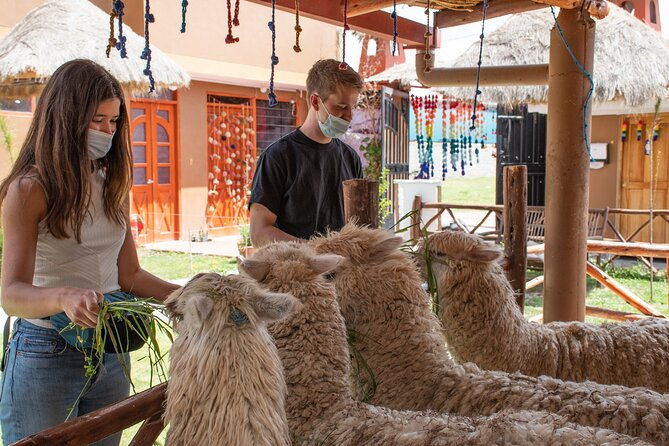 from-cusco-sacred-valley-and-moray-salt-mines