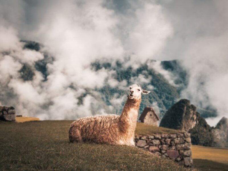 from-cusco-sacred-valley-machu-picchu-2-day-tour-by-train