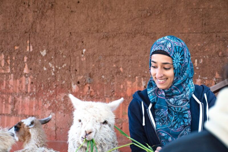from-cusco-sacred-valley-maras-salt-mines-tour-with-lunch
