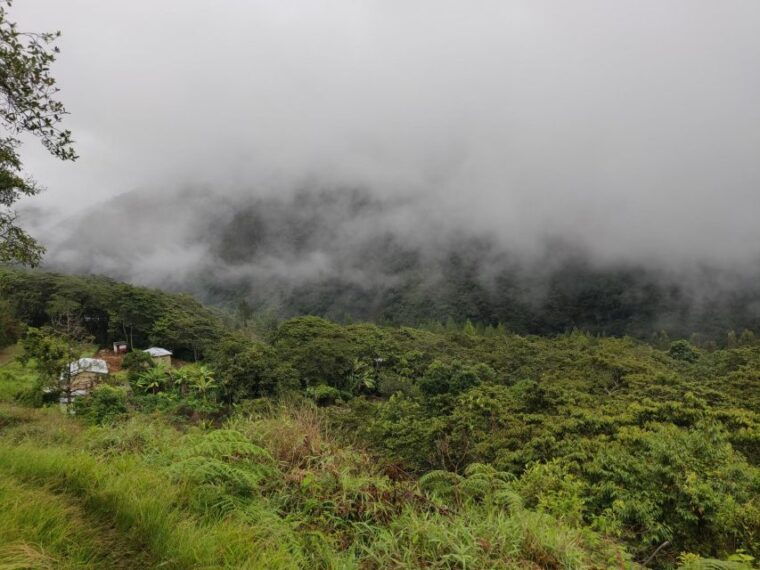 from-cusco-salkantay-trek-5-days-4-nights